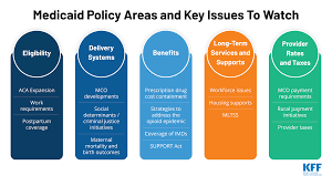 A View From The States Key Medicaid Policy Changes
