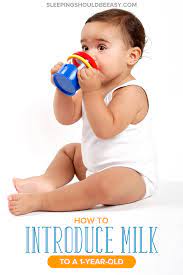 How To Introduce Milk To A 1 Year Old