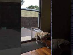 Sliding Glass Dog Door Aussie Pet Doors