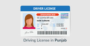 driving licence punjab driving