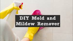 diy mold and mildew remover you