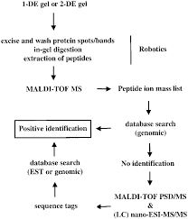 Typical Flow Chart For The Analysis Of Proteomes By Ms