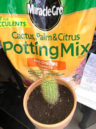 Now they are in miracle gro cactus, palm, citrus mix at about 70/30 soil/perlite and happy as heck! Bought This Poring Mix But At First Glance It Seems To Rich Any Feedback Or Recommendations Cactus