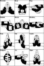 13 Best Justu Hand Signs Images Naruto Hand Signs Anime