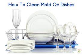 How To Clean Mold On Dishes Mold Help