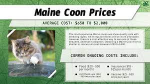 maine s in 2024 purchase