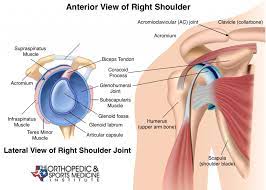 shoulder exercise conditioning program