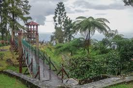 Must check out places in taiping 2019 what to do in taiping? Bukit Larut Maxwell Hill Ultimate Guide Discover Taiping Hill Station