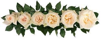 White O Hara Roses Wedding Roses Direct
