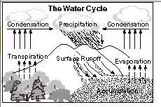 Image result for draw a well labelled diagram of water cycle