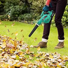 In such a case, the easiest way to pick up acorns is to use a lawn sweeper, yard vacuum for acorns, or any other powerful acorn removal tool. Best Yard Vacuum For Acorns Top 10 Picks Reviews Of 2021