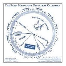 Sheep Gestation Chart Www Bedowntowndaytona Com