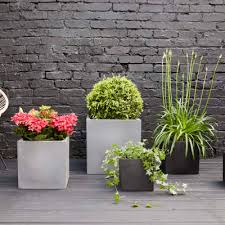 Outdoor Pots Delivered In London Patch