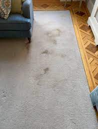 1 carpet cleaning slough