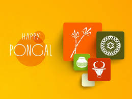 But if you feel that we can improve our website, we appreciate your. Happy Pongal Desktop Pc Hd Wallpaper