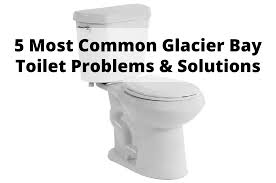 glacier bay toilet problems