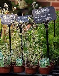 Grow The Best Kitchen Herb Garden