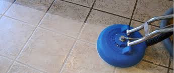 home proclean carpet tile cleaning