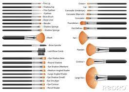 naklejka set of cosmetic brushes for