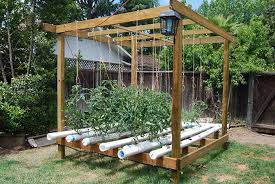 5 creative vegetable garden ideas