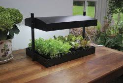 Indoor Herb Garden System With Artificial Light