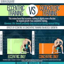 eccentric vs concentric training the