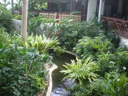 Water Features In Your Thai Garden