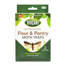 non toxic flour and pantry moth traps