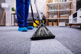 carpet cleaning ming ga house