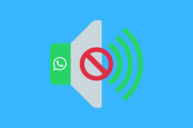 Les notifications de WhatsApp ne sonnent pas : comment y remédier ?