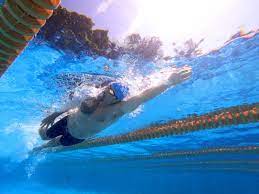 3 swim workouts for beginners myswimpro