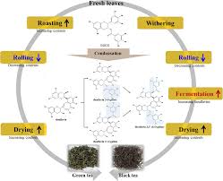 Characterization Of Catechins Theaflavins And Flavonols By
