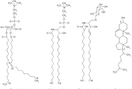 chemical structure of some lipids found