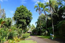 botanical gardens on the big island