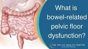 bowel pelvic floor dysfunction
