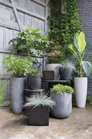 backyard landscaping garden pots