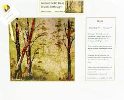 druidic birth sign celtic tree birch