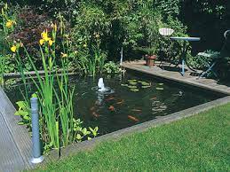 Benefits Of Having A Garden Pond Buy