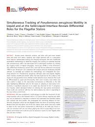 pseudomonas aeruginosa motility