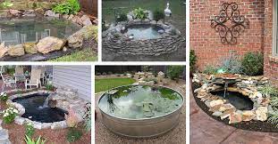 18 Best Diy Backyard Pond Ideas And