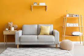 Top 8 Interior Paint Colours For Home