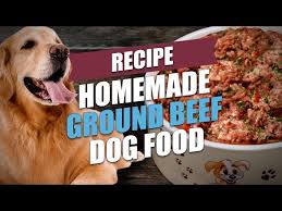 homemade ground beef dog food recipe