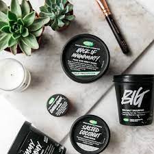 lush reviews 2024 read before you