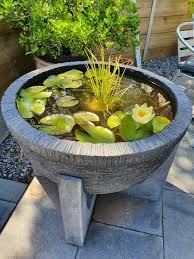 Garden Design Ideas Serenity Water