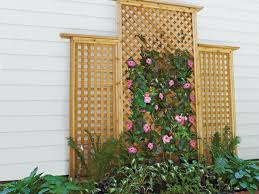 Salvaged wood from other projects works great for this purpose. How To Build A Wooden Trellis In 13 Steps This Old House