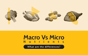 macro and micronutrients