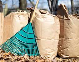 Curbside Leaf And Yard Waste Collection