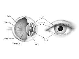 section 2 laser hazards