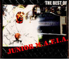 The Best of Junior M.A.F.I.A.