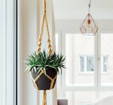 How To Hang Plants From The Ceiling